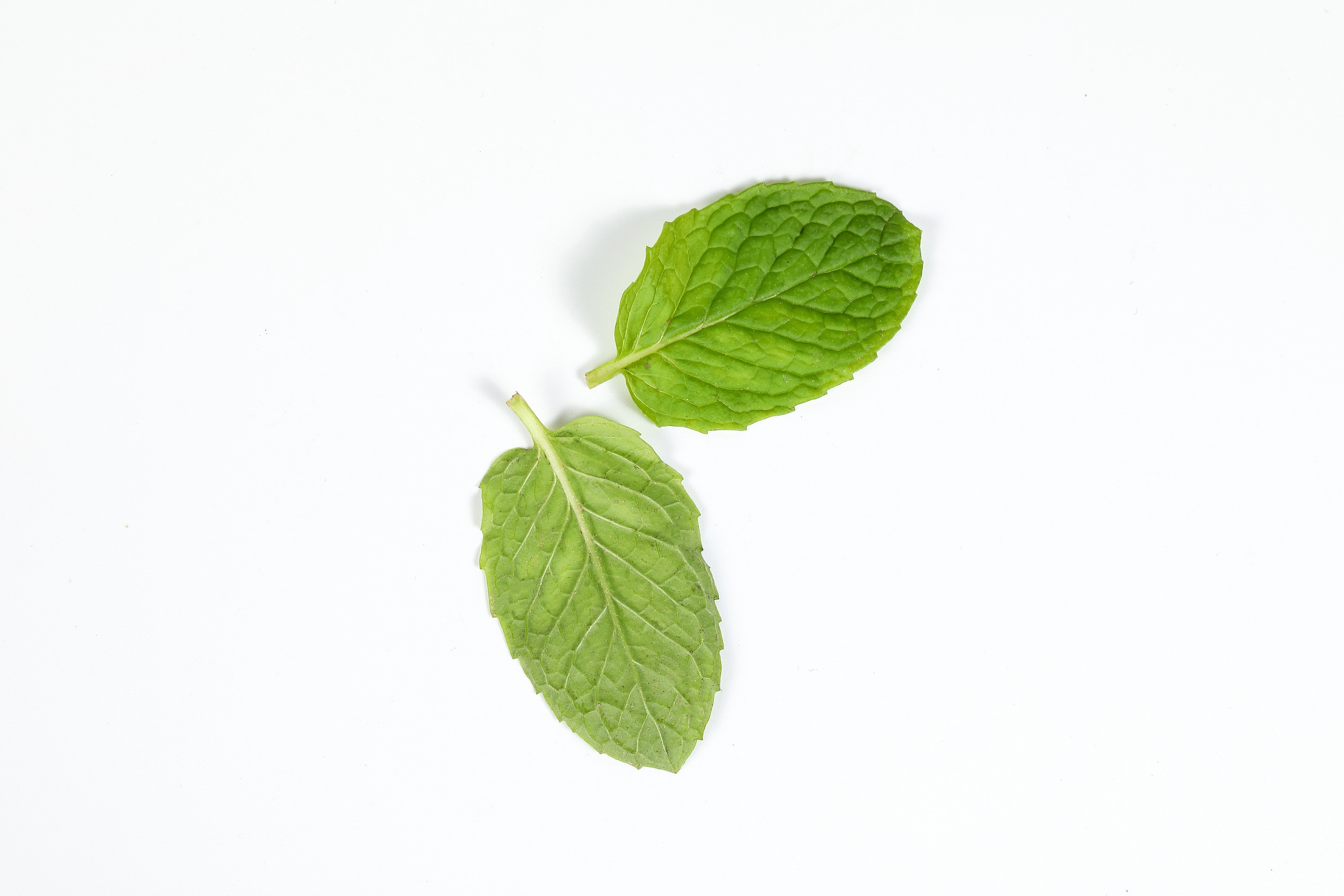 Ingredient: Olejek miętowy