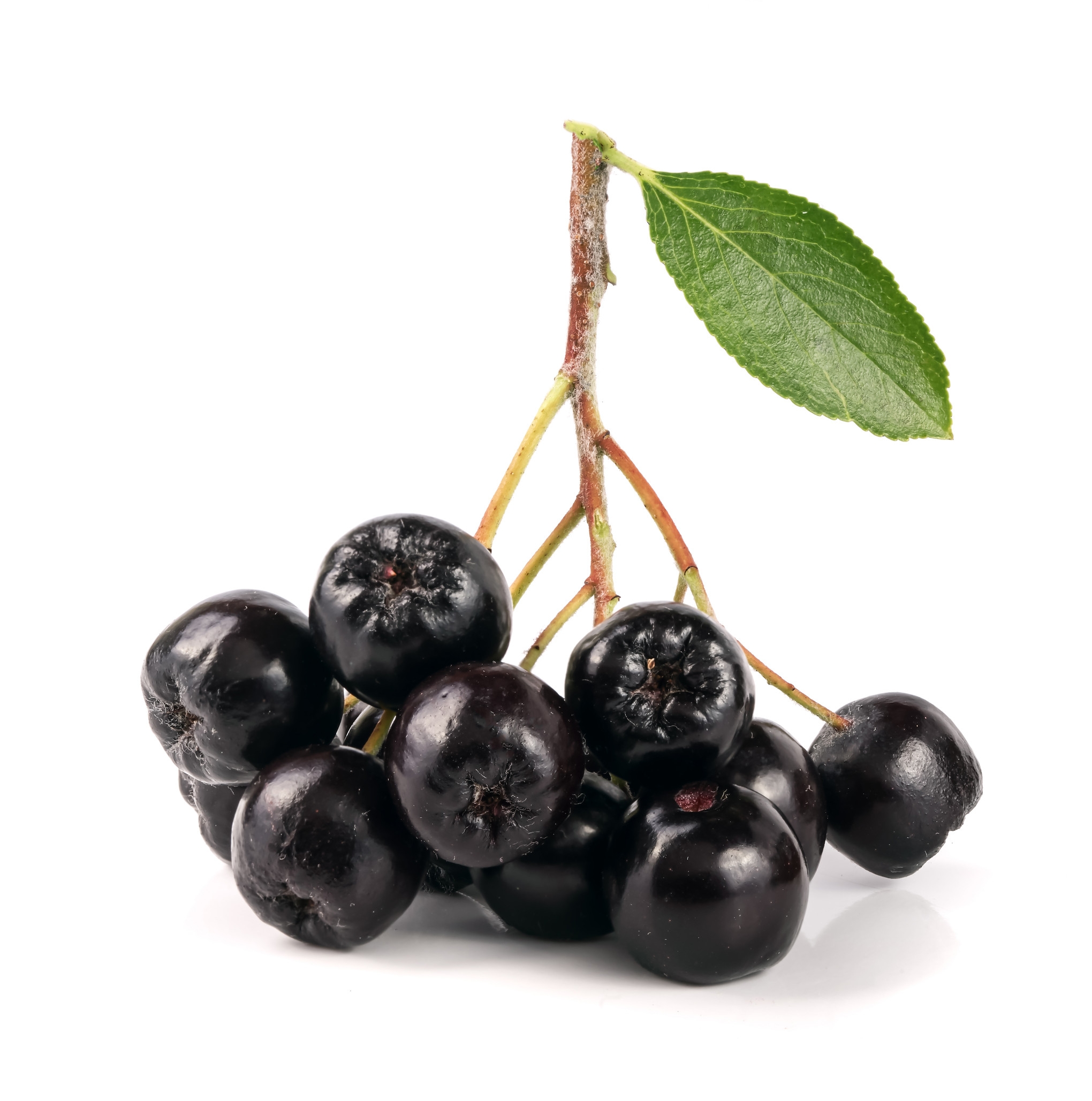 Ingredient: Sok z owoców aronii