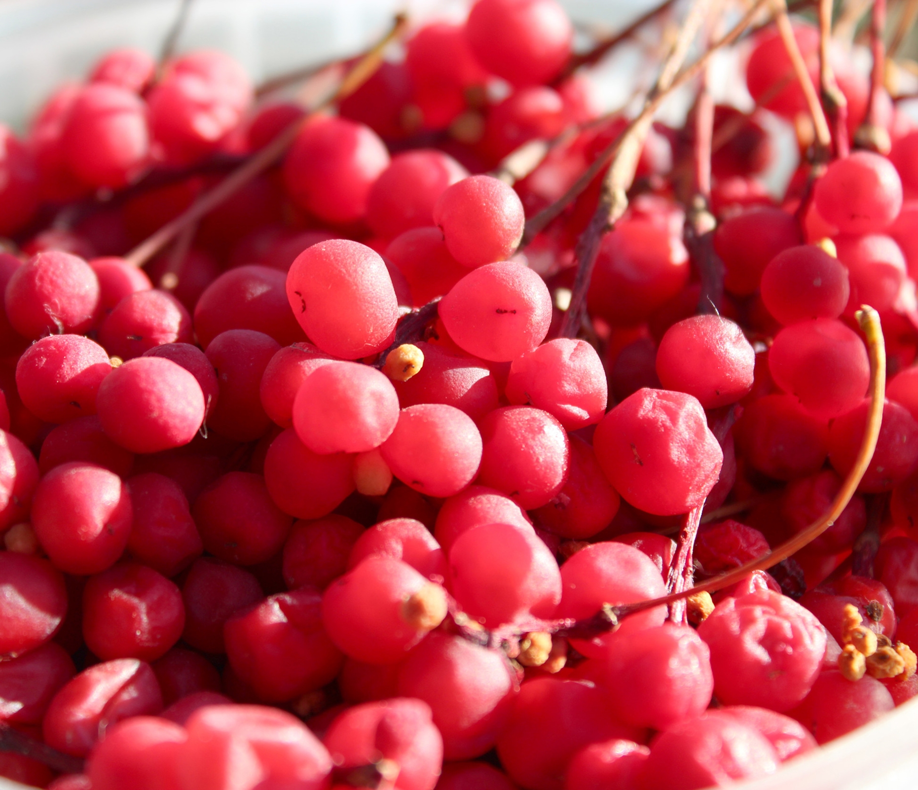 Ingredient: Ekstrakt z owoców cytryńca chińskiego
