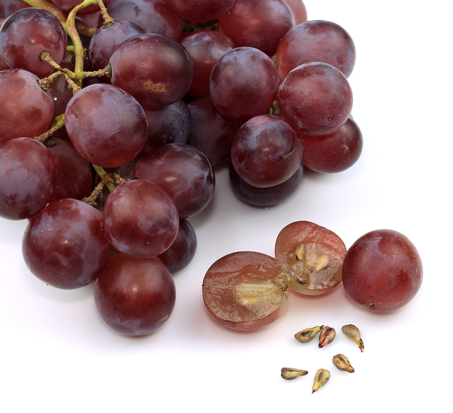 Ingredient: Ekstrakt z pestek winogron