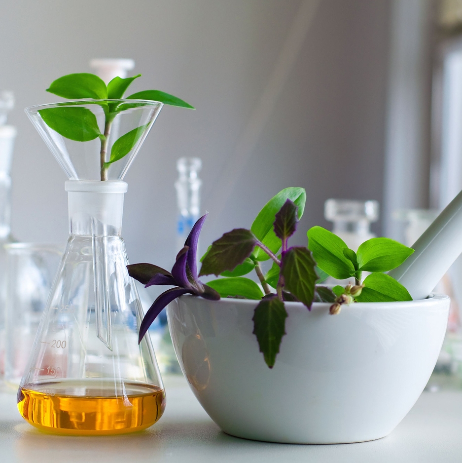 Ingredient: Formuła 8 ekstraktów roślinnych